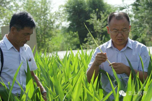 敦煌種業(yè)種子營(yíng)銷分公司—通過(guò)組織黑龍江農(nóng)戶開展體驗(yàn)之旅活動(dòng)進(jìn)一步提升公司的社會(huì)形象